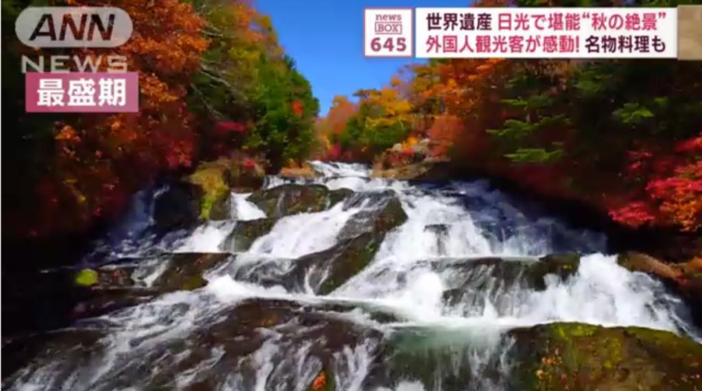 日本人怒怼外国游客是“社会公害”：闯民居、偷厕纸、在停车场生火过夜…