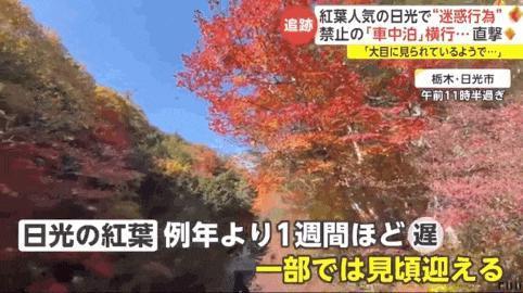 日本人怒怼外国游客是“社会公害”：闯民居、偷厕纸、在停车场生火过夜…