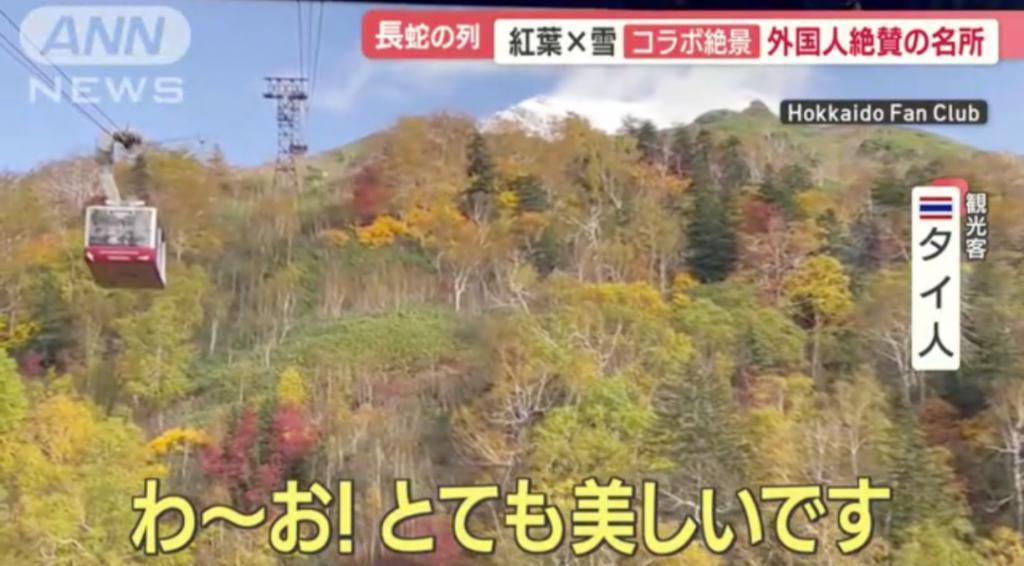 日本人怒怼外国游客是“社会公害”：闯民居、偷厕纸、在停车场生火过夜…