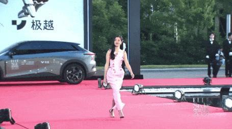 红毯年年有，今年看个乐呵吧