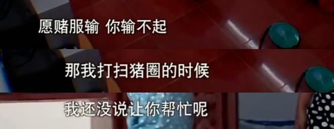 这瓜，越想越吓人！