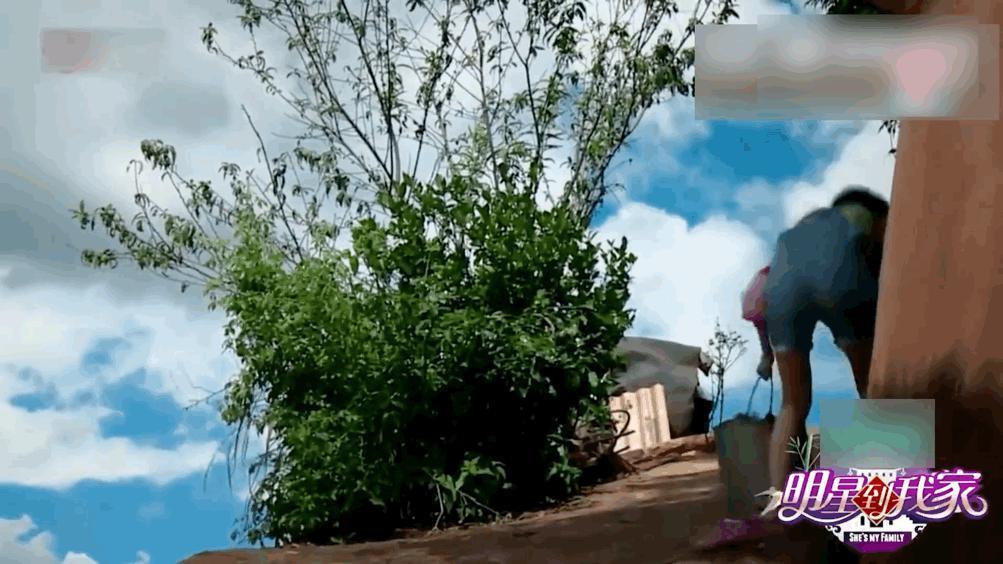 这瓜，越想越吓人！