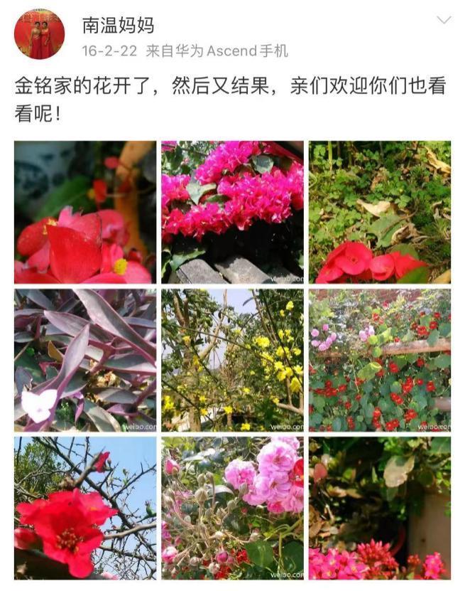 这瓜，越想越吓人！