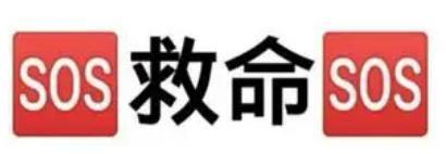 太好磕了吧！！！