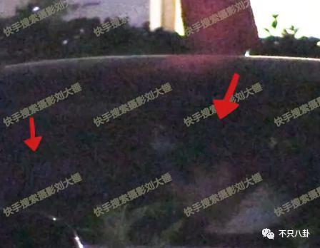 孕期出轨石锤了？他真的是追到女神就不珍惜啊