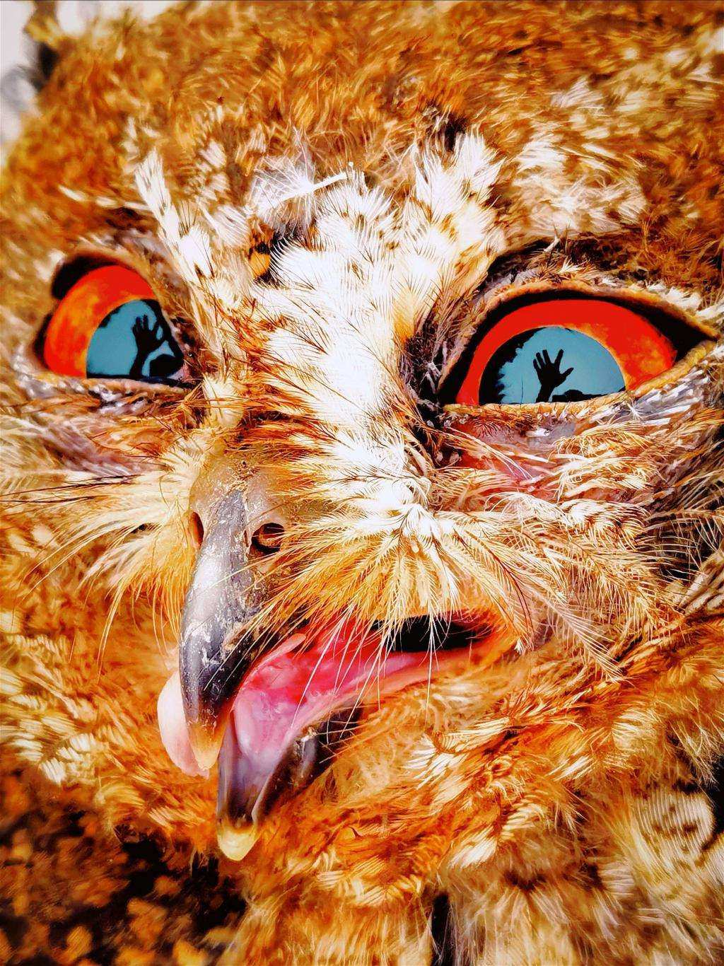 华为影像大赛揭晓获奖作品，XMAGE 诠释影像力量