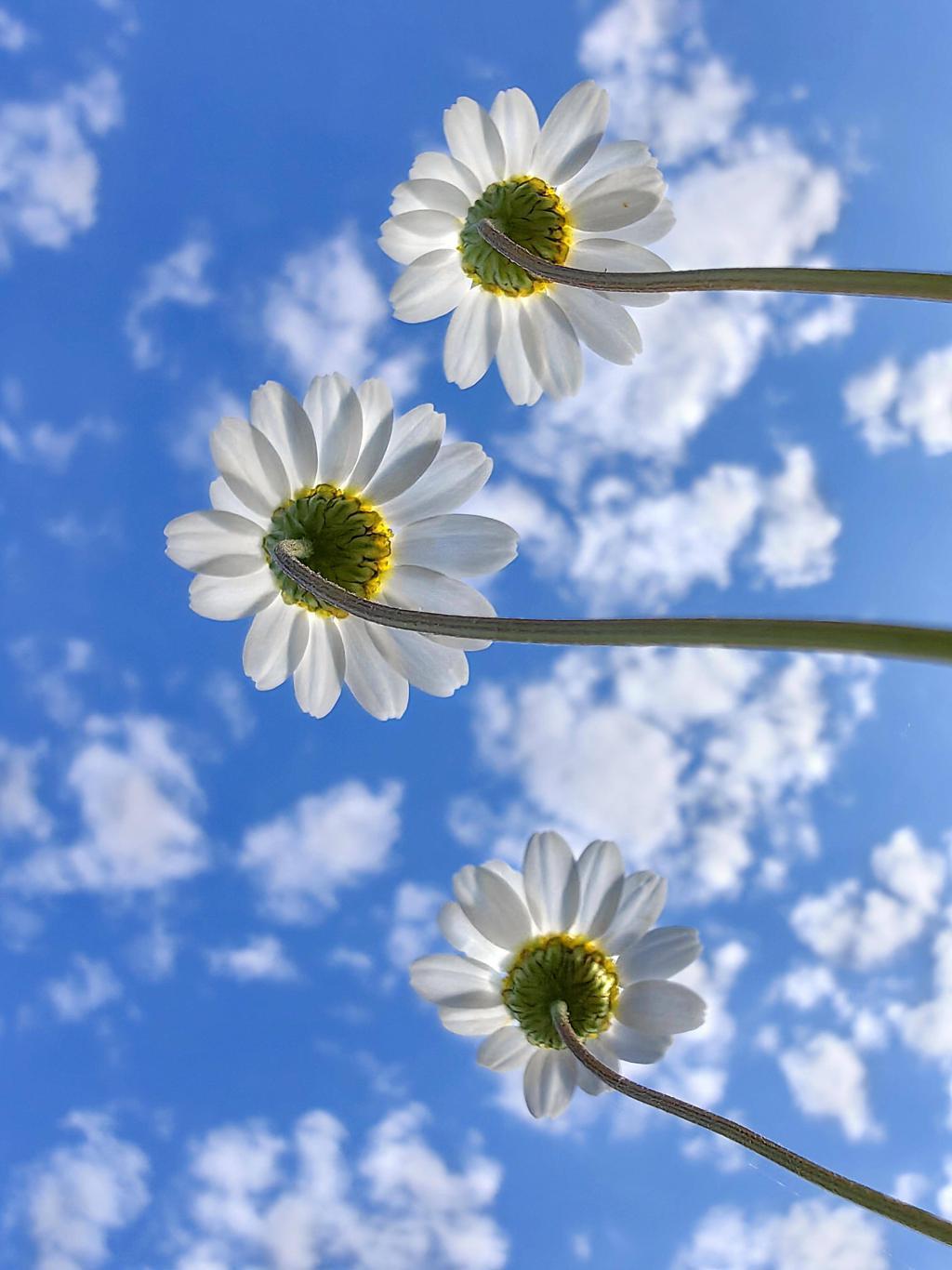 华为影像大赛揭晓获奖作品，XMAGE 诠释影像力量