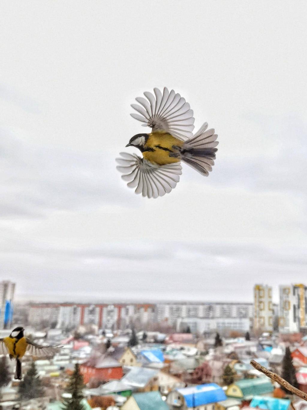 华为影像大赛揭晓获奖作品，XMAGE 诠释影像力量