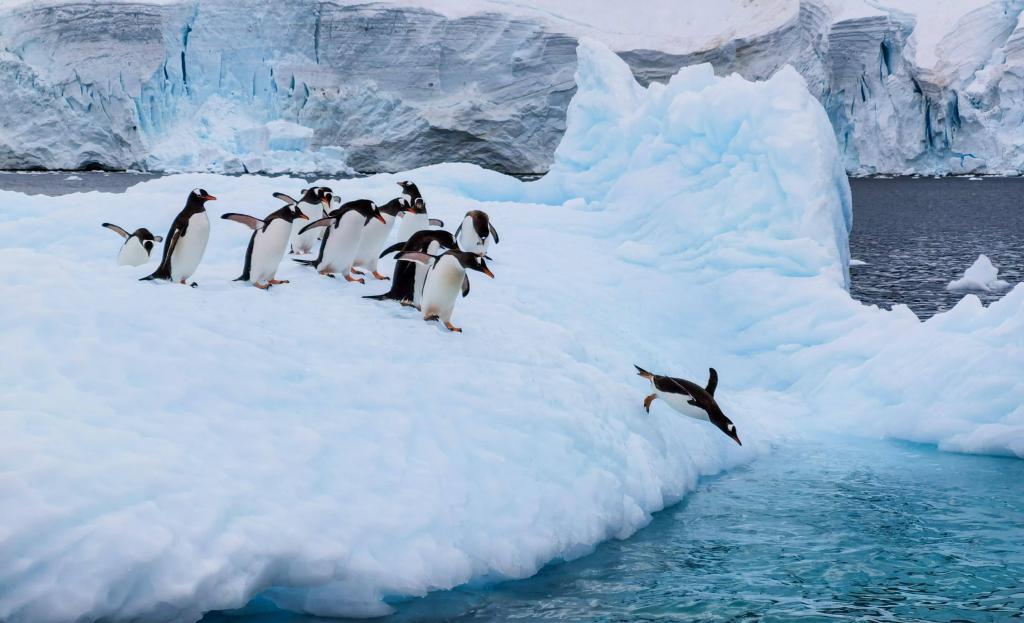 华为影像大赛揭晓获奖作品，XMAGE 诠释影像力量