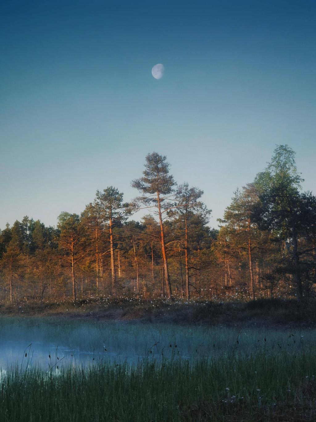 华为影像大赛揭晓获奖作品，XMAGE 诠释影像力量