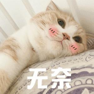 美团下场辟谣！45岁不能送外卖，我劝你别信