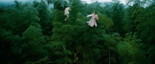 想接班大花？她这次还不配