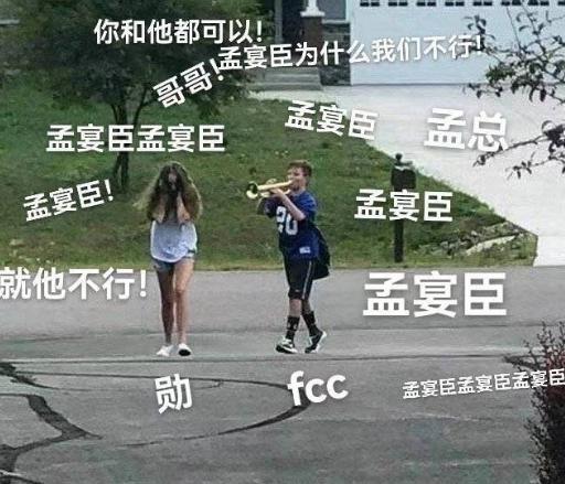 牌好又会打，这节目太好追了