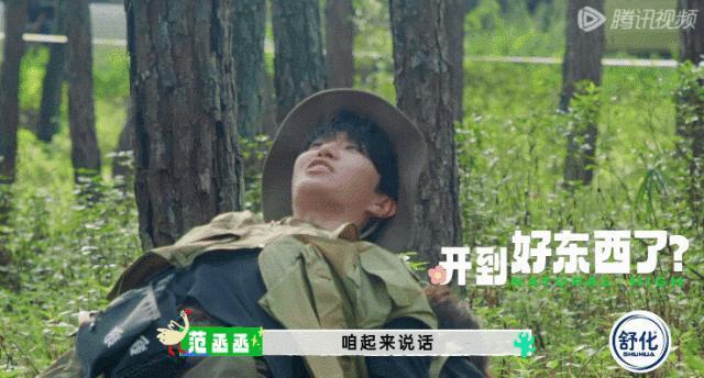 牌好又会打，这节目太好追了