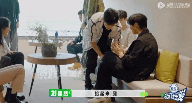 牌好又会打，这节目太好追了