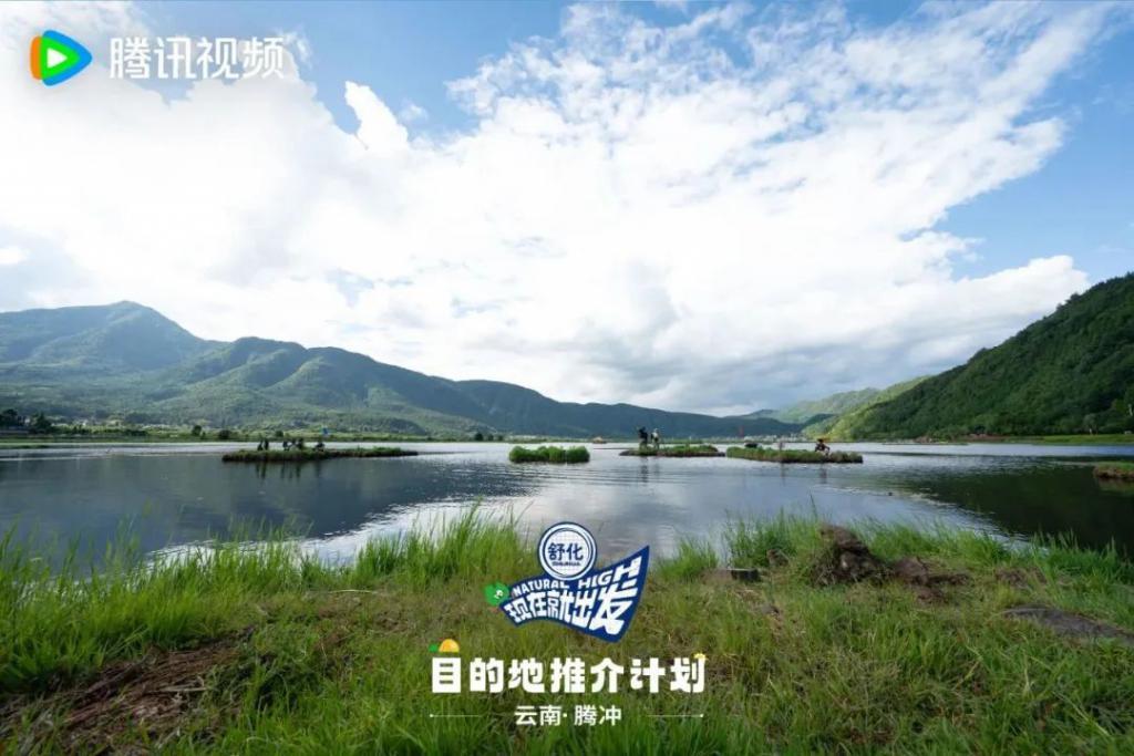 牌好又会打，这节目太好追了