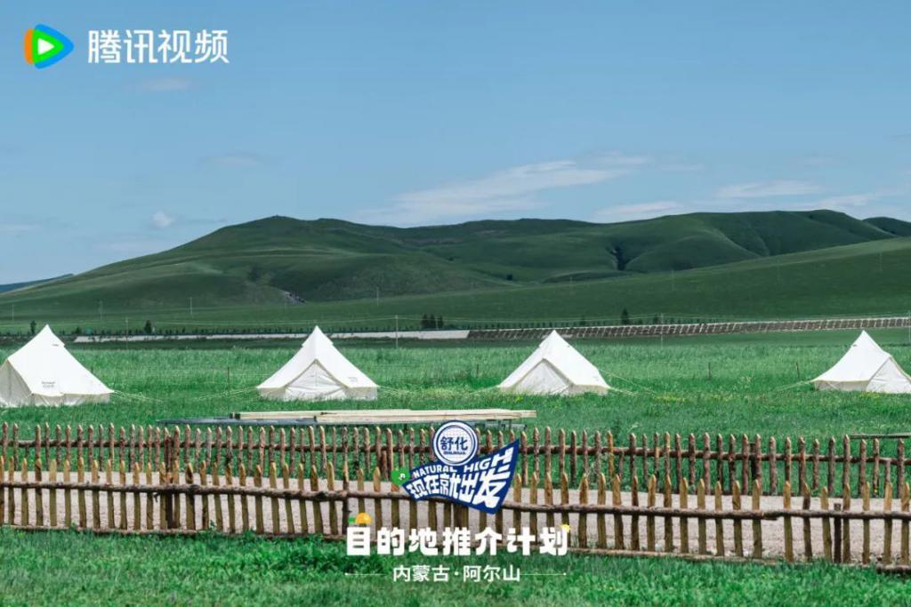 牌好又会打，这节目太好追了