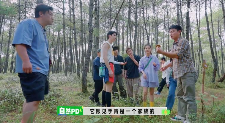 牌好又会打，这节目太好追了