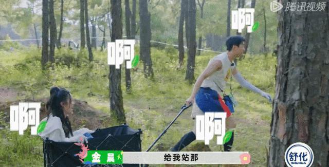 牌好又会打，这节目太好追了