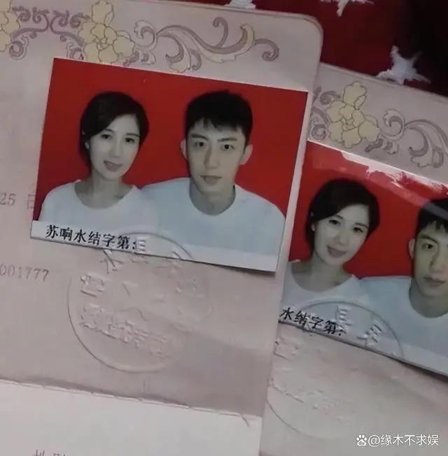 王雨馨再控诉:一年花上千万为黄景瑜买衣服,老家车房装修全包