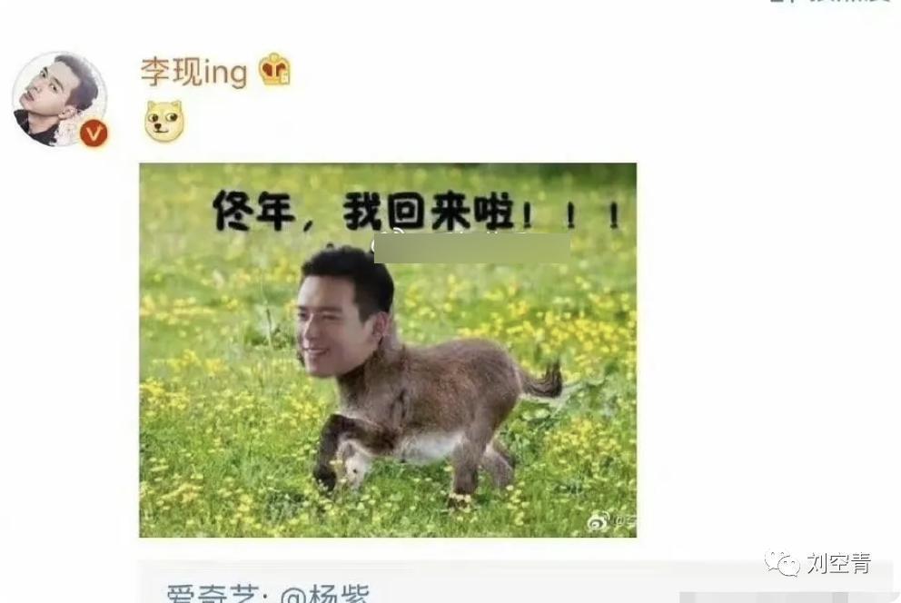 想过扑街，没想过这么扑街？
