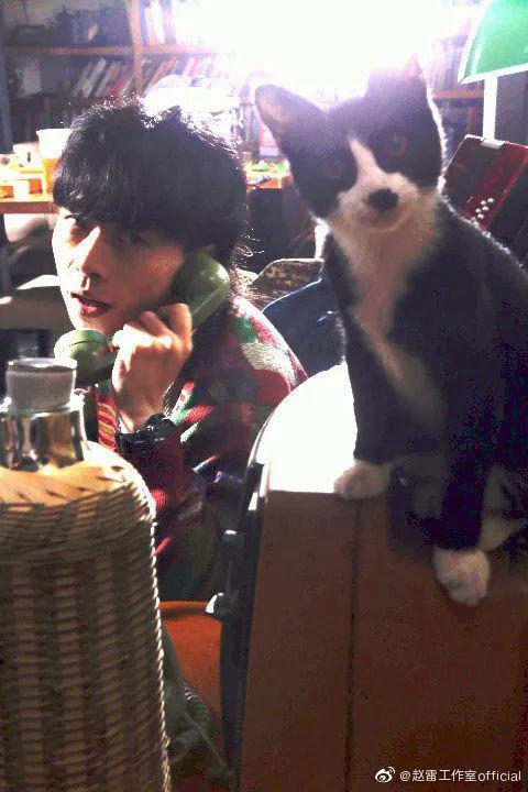 赵雷：钱有了，但没意思