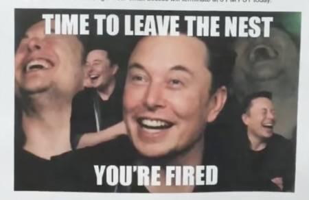 X 掉蓝鸟，对标微信，马斯克收购 Twitter 一年后搞砸了吗？