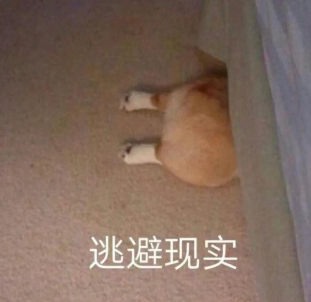 还记得Tina李缇娜吗？她出家了？