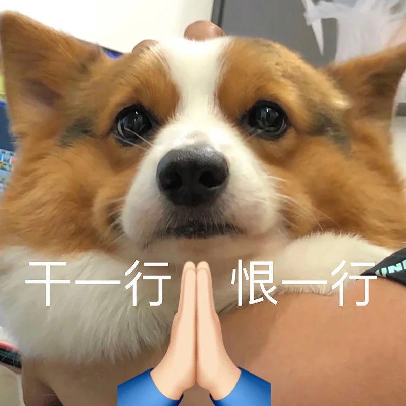 他承认隐婚当爸，他和前妻的狗血闹剧还没完？