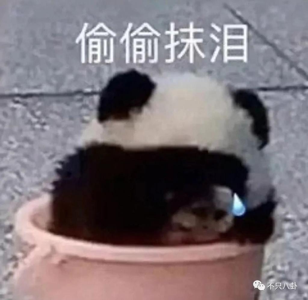 被夸是神仙异性友谊的他们，也要散伙了？