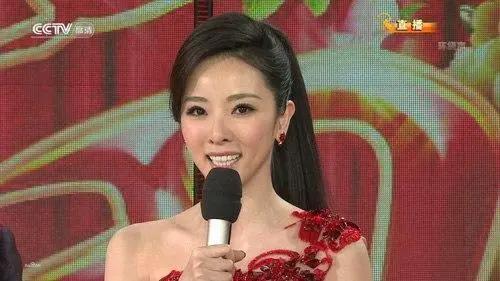 在央视,她的离开悄无声息