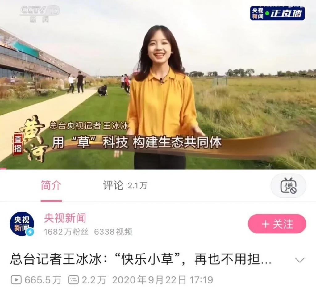 在央视,她的离开悄无声息