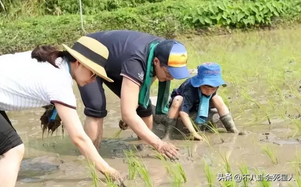 豪门教育有多不同？郭晶晶、甘比、李嘉欣都热衷带孩子做这件事！