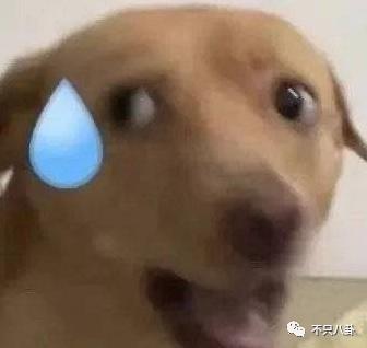 观众的命也是命，能不能拍点正常东西啊……