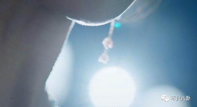 观众的命也是命，能不能拍点正常东西啊……