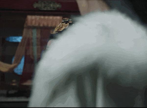 观众的命也是命，能不能拍点正常东西啊……