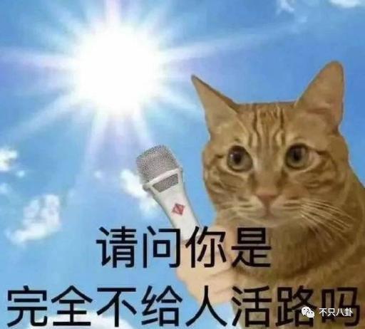 观众的命也是命，能不能拍点正常东西啊……