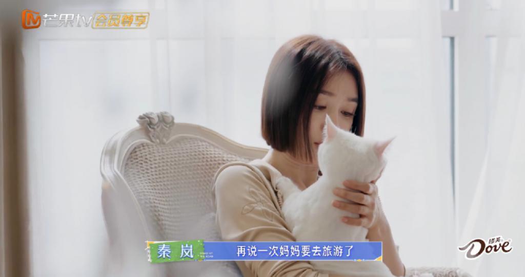 内娱小姨,永远懂你!