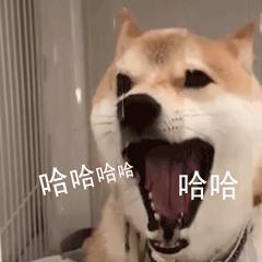 小学生，把小米之家当成了 “ 网吧 ”