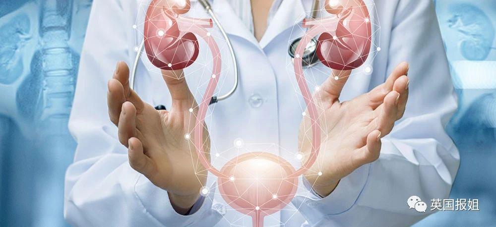 全网震撼！韩击剑皇后被女人骗婚，自曝同房后竟“怀孕”两次：肚子都鼓起来了？