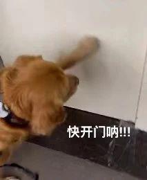 给你打诈骗电话的人,可能就在国内。