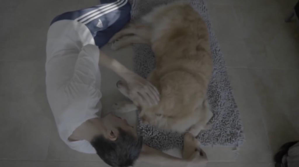 朴树在内娱，条条通「死路」