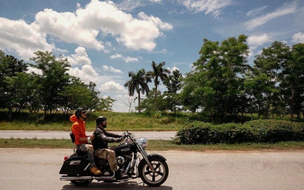 朴树在内娱，条条通「死路」