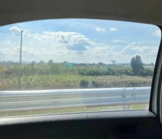 坐网约车，为什么会头晕？