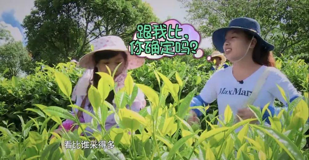 逼疯女明星？这节目活该被封杀！