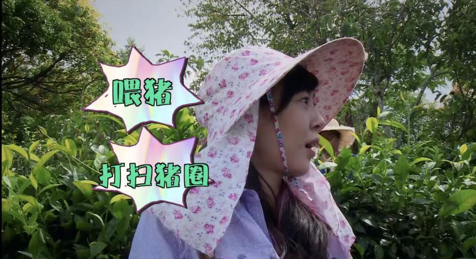 逼疯女明星？这节目活该被封杀！