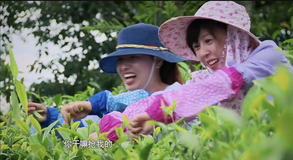 逼疯女明星？这节目活该被封杀！