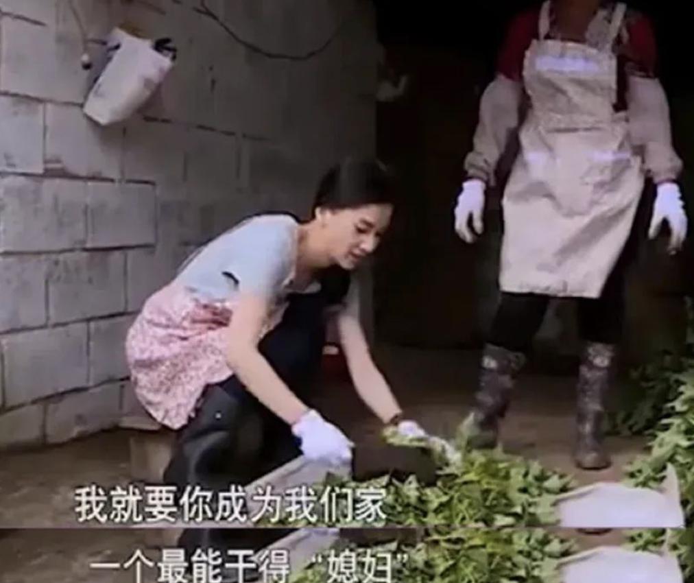 逼疯女明星？这节目活该被封杀！