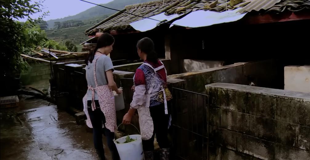 逼疯女明星？这节目活该被封杀！