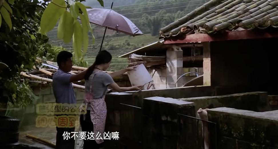 逼疯女明星？这节目活该被封杀！